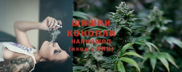 гашик Вяземский