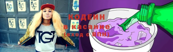 гашик Вяземский