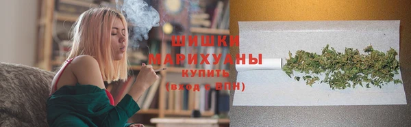 гашик Вяземский