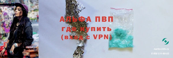 гашик Вяземский