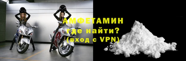 гашик Вяземский
