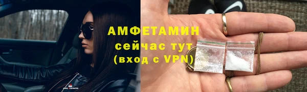 гашик Вяземский