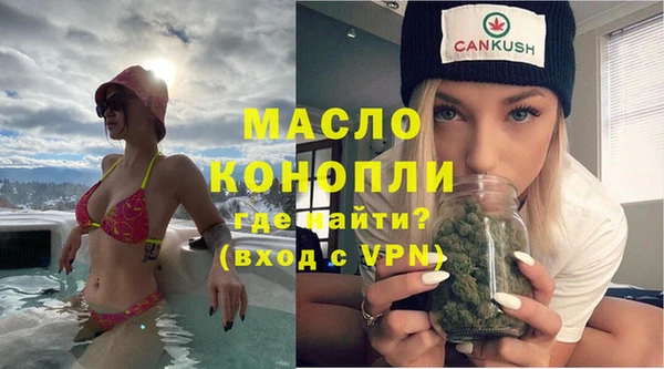 гашик Вяземский