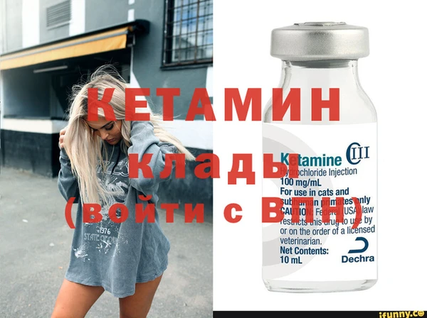 гашик Вяземский