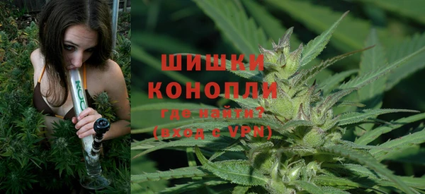 гашик Вяземский