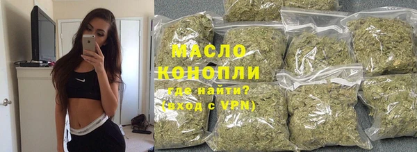 гашик Вяземский