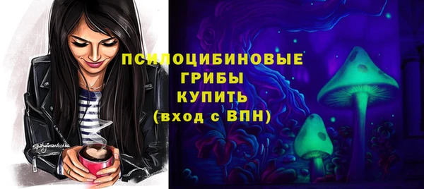 гашик Вяземский