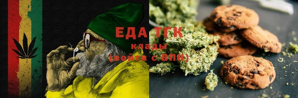 гашик Вяземский